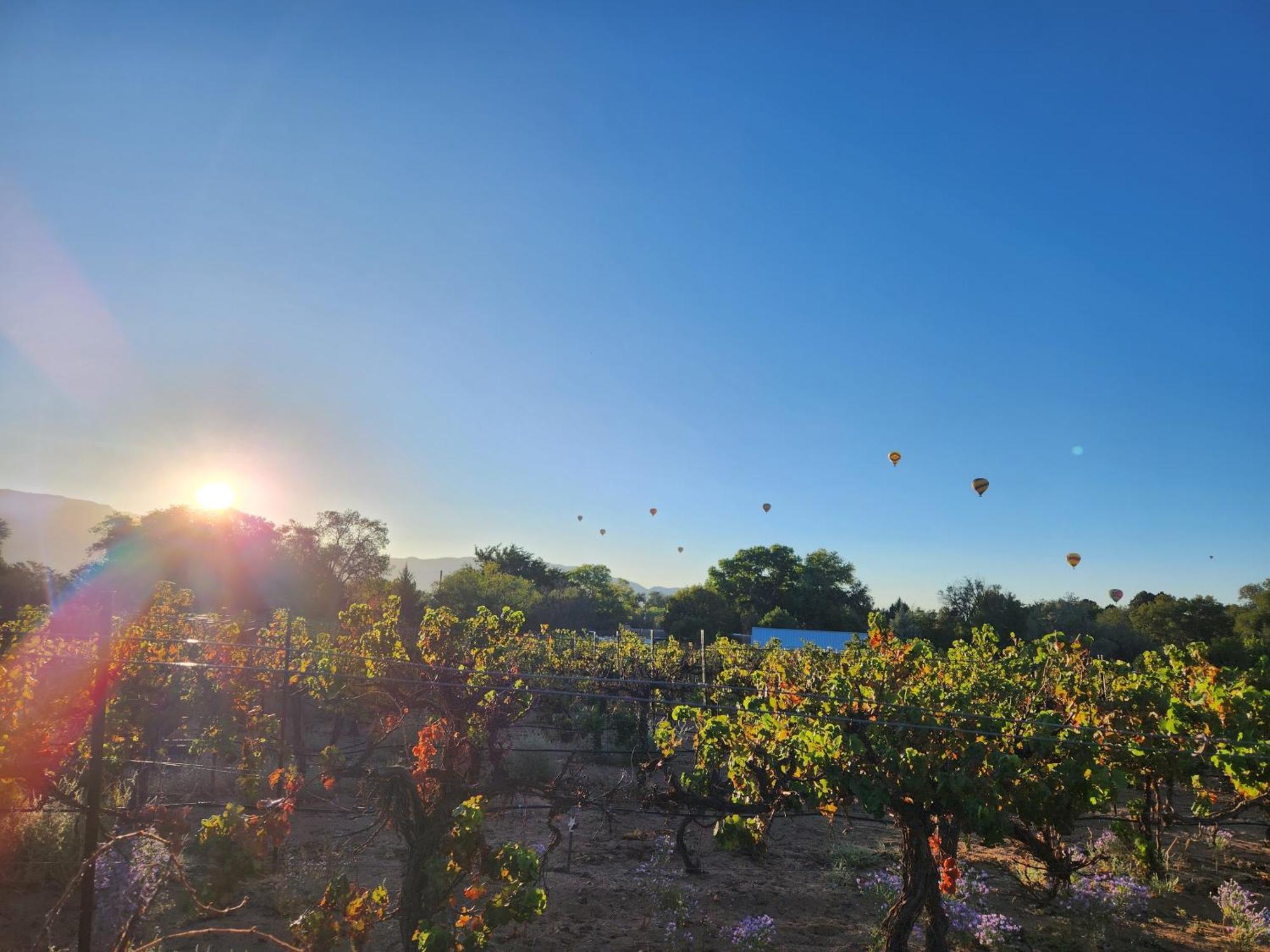 Red Mountain Manor Vineyard And Guesthouse Рио Ранчо Екстериор снимка