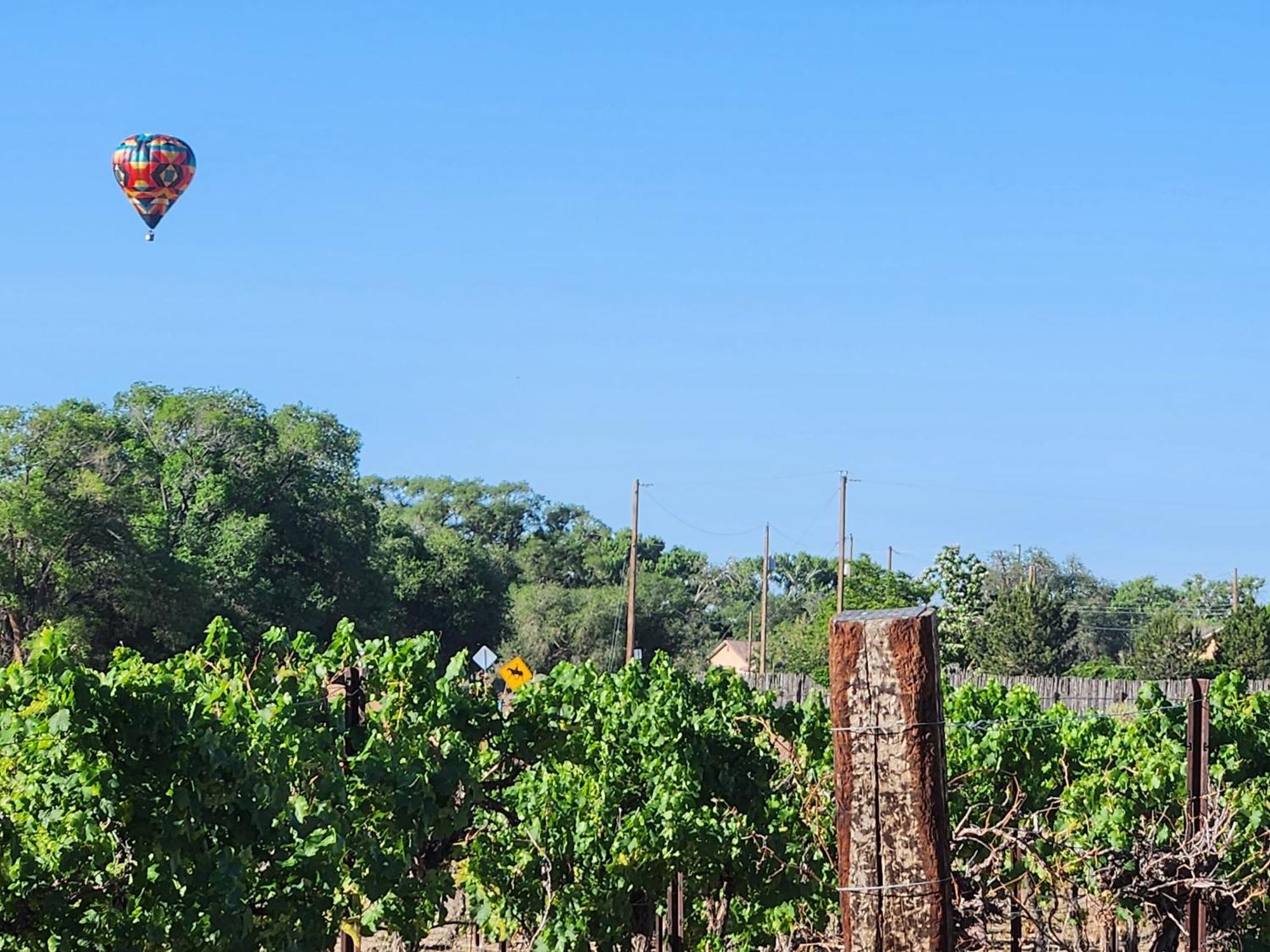 Red Mountain Manor Vineyard And Guesthouse Рио Ранчо Екстериор снимка
